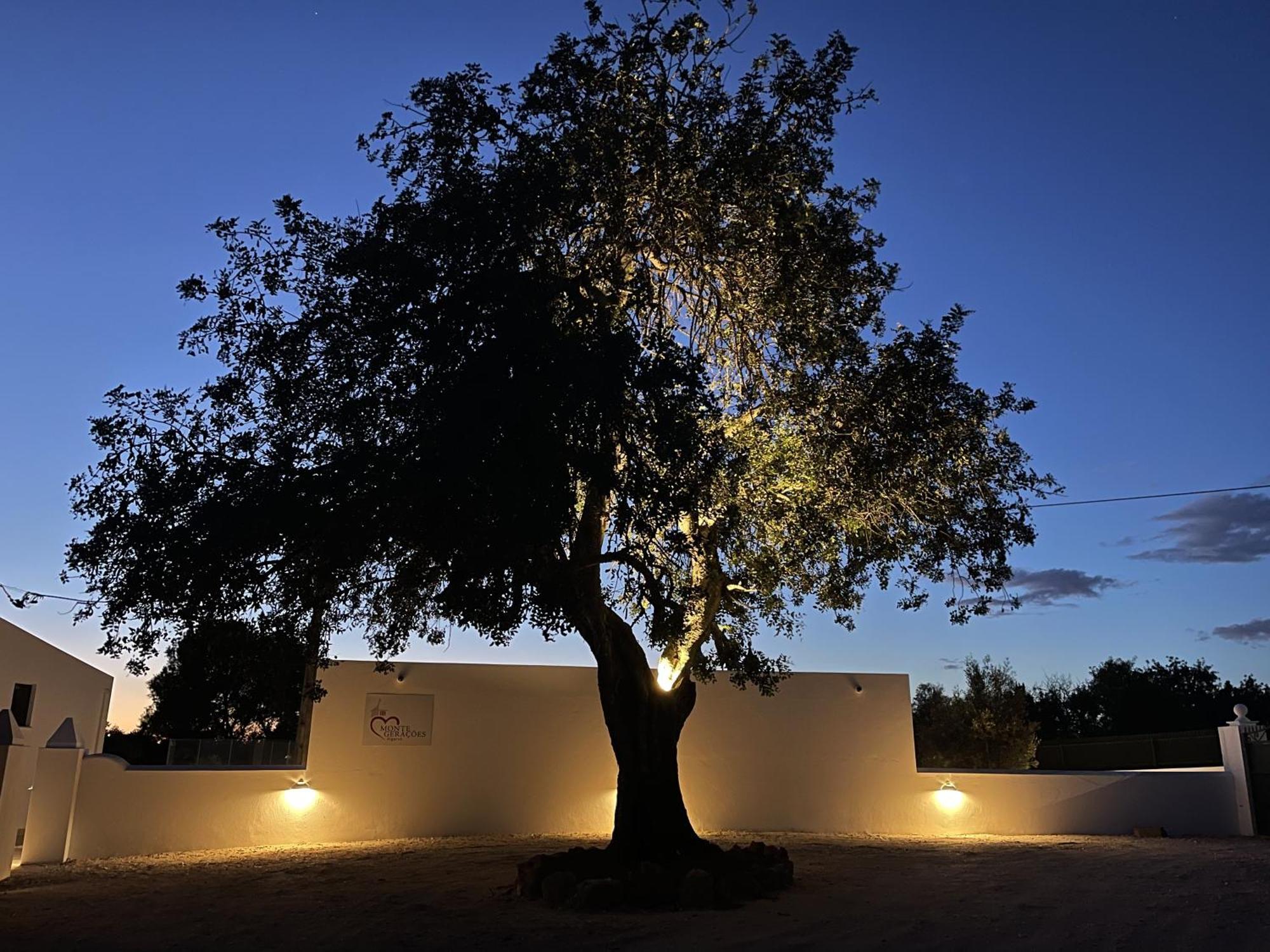 Monte Geracoes - Heated Pool - Typical Algarvian - Close To Quinta Lago, Vale Lobo And Vilamoura อัลมันซิล ภายนอก รูปภาพ